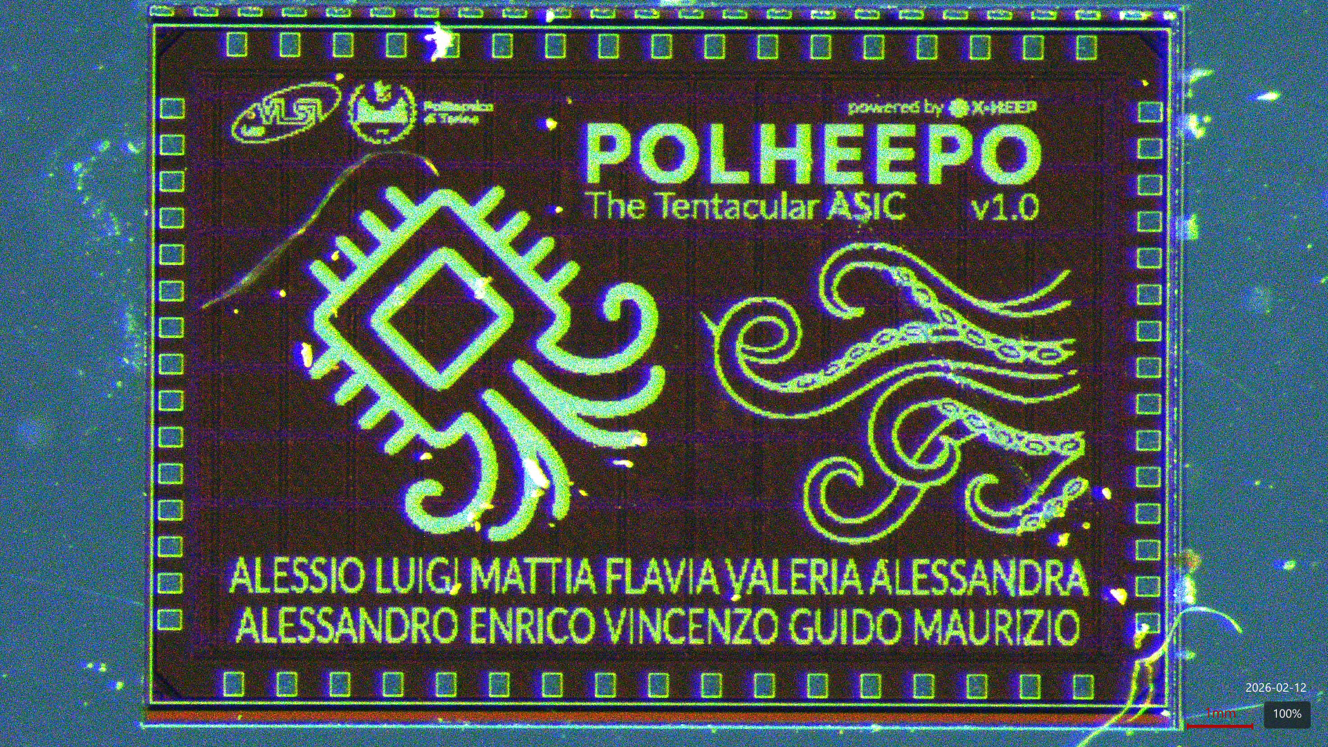 The POLHEEPO chip die